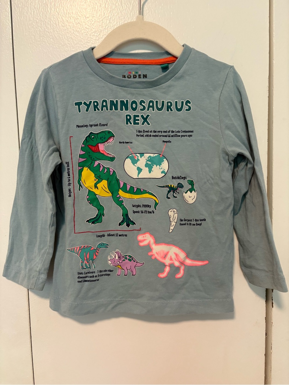 Mini boden long-sleeve cotton t-shirt T- Rex graphic & scientific facts 2-3 y